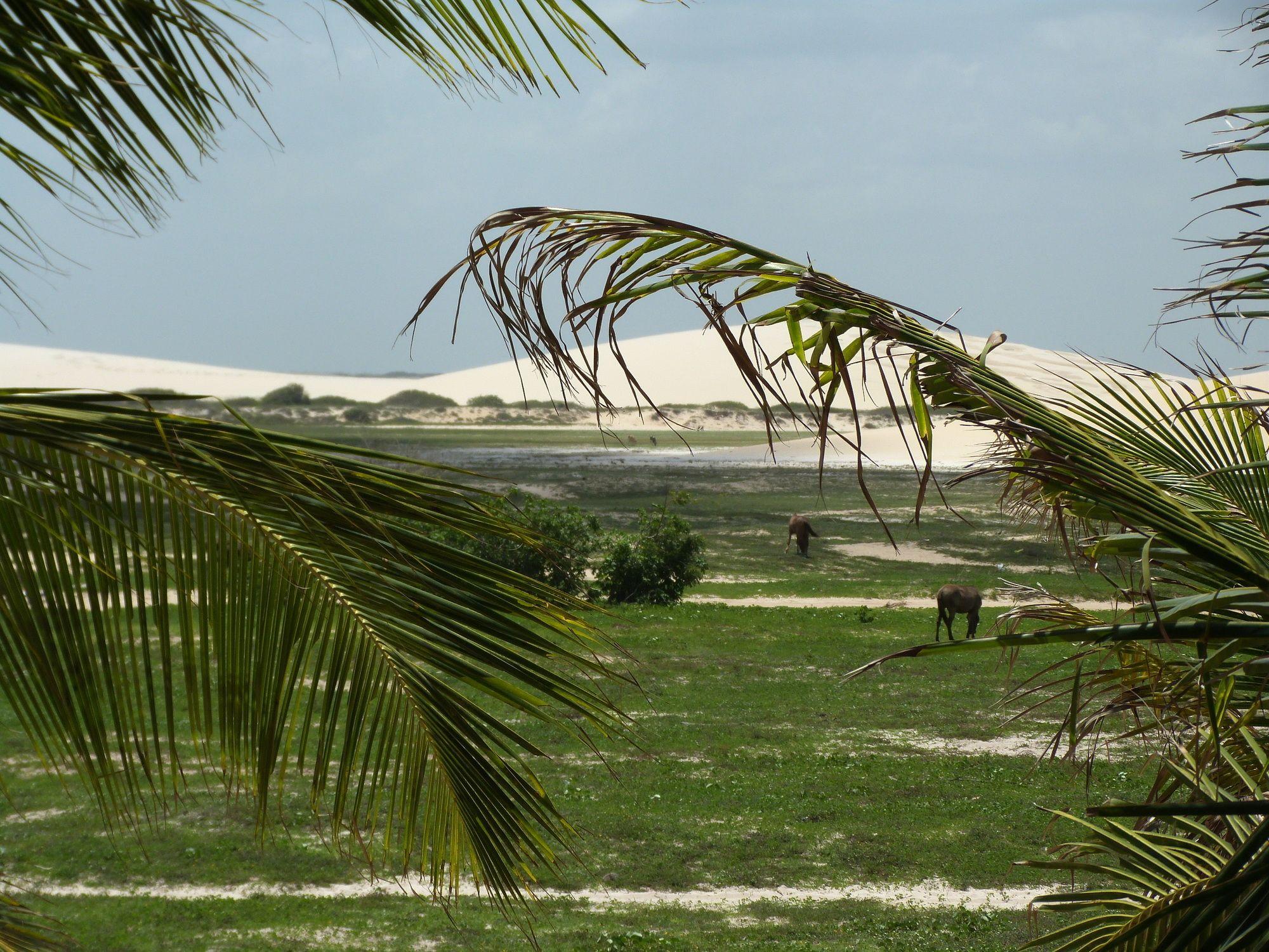 Pousada Mahi Jericoacoara Extérieur photo